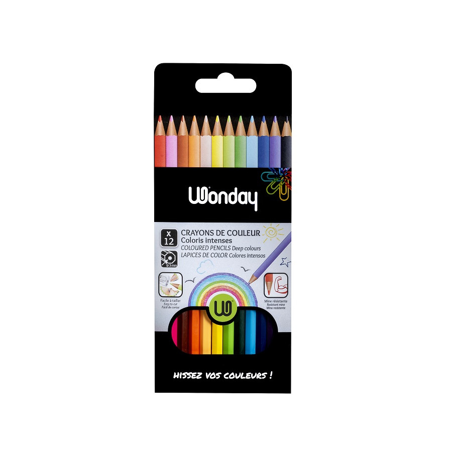 46 Crayons de couleur professionnels dans une boîte de rangement