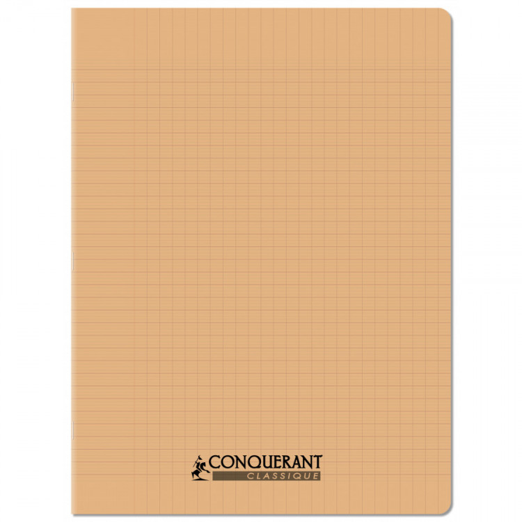 CAHIER POLYPRO 24*32 96P SEYES ABRI PAST